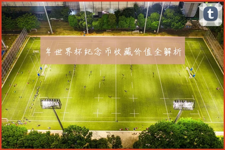 年世界杯纪念币收藏价值全解析