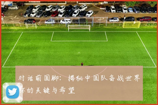 对话前国脚：揭秘中国队备战世界杯的关键与希望