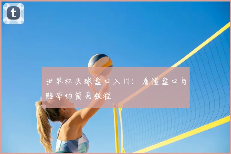 世界杯买球盘口入门：看懂盘口与赔率的简易教程