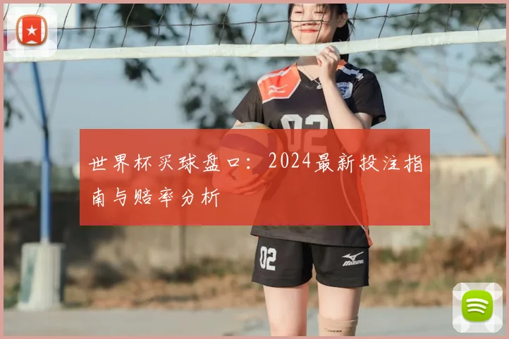 世界杯买球盘口：2024最新投注指南与赔率分析