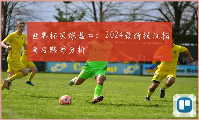 世界杯买球盘口:2024最新投注指南与赔率分析