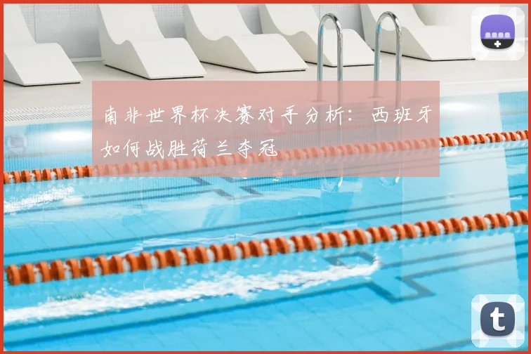 南非世界杯决赛对手分析：西班牙如何战胜荷兰夺冠