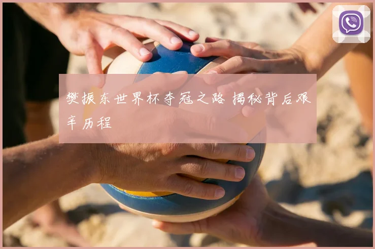 樊振东世界杯夺冠之路 揭秘背后艰辛历程