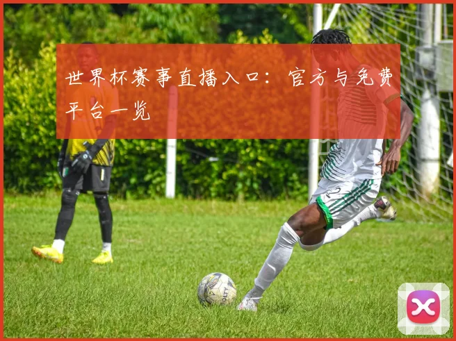 世界杯赛事直播入口：官方与免费平台一览