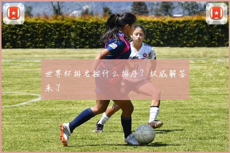 世界杯排名按什么排序？权威解答来了